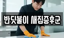 반딧불이 새집증후군