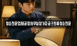 청소전문업체공장사무실상가준공크린룸청소전문