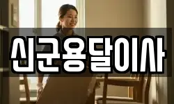 신군용달이사
