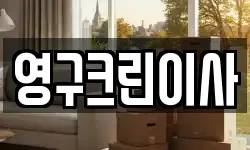 영구크린이사