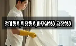 정기청소,식당청소,사무실청소,공장청소