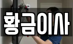 황금이사