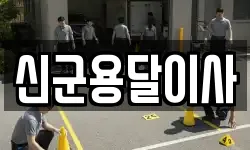 신군용달이사