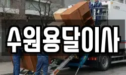 수원용달이사