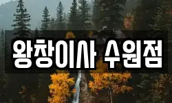 왕창이사 수원점