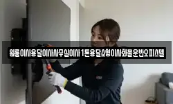 원룸이사용달이사사무실이사1톤용달소형이사화물운반오피스텔
