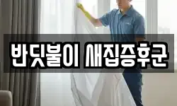 반딧불이 새집증후군