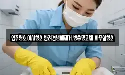 입주청소.이사청소.반려견냄새제거.방충망교체.사무실청소