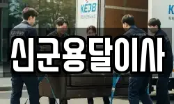 신군용달이사