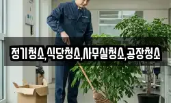 정기청소,식당청소,사무실청소,공장청소
