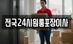 전국24시원룸포장이사