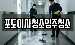 포도이사청소입주청소