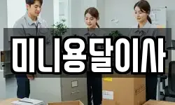미니용달이사
