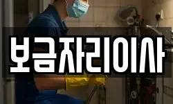 보금자리이사