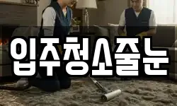 입주청소줄눈