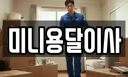 미니용달이사