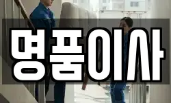 명품이사