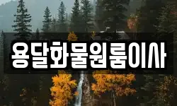 용달화물원룸이사