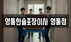 영통한솔포장이사 영통점