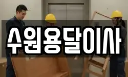 수원용달이사