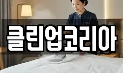 클린업코리아