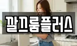 깔끄룸플러스