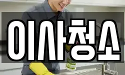 이사청소