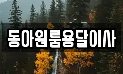 동아원룸용달이사
