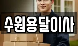 수원용달이사