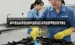바닥청소공장청소사무실청소준공청소외벽청소상가청소