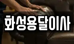 화성용달이사