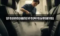 입주청소이사청소원룸청소거주청소특수청소곰팡이제거청소