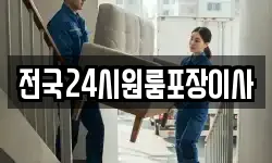 전국24시원룸포장이사