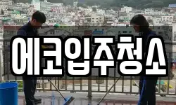 에코입주청소
