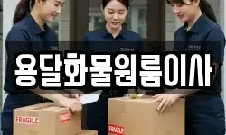 용달화물원룸이사