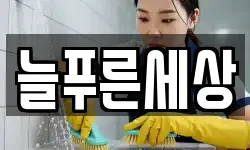 늘푸른세상