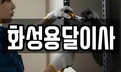 화성용달이사