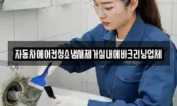 자동차에어컨청소냄새제거실내에바크리닝업체