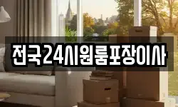 전국24시원룸포장이사