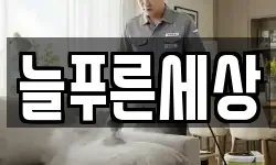 늘푸른세상