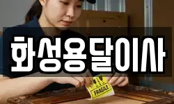 화성용달이사