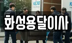화성용달이사