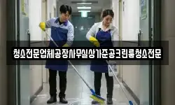 청소전문업체공장사무실상가준공크린룸청소전문