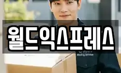 월드익스프레스