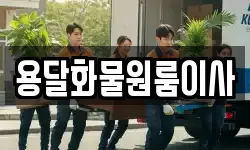 용달화물원룸이사