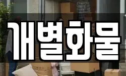 개별화물