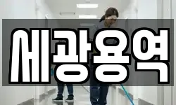세광용역