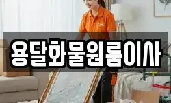 용달화물원룸이사