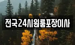 전국24시원룸포장이사