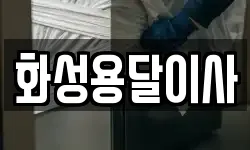 화성용달이사